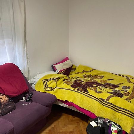 Vila Zoka Apartment Niska Banja Bagian luar foto