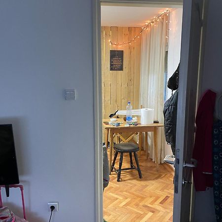 Vila Zoka Apartment Niska Banja Bagian luar foto